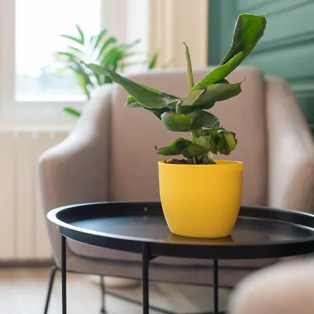 Apartman Chaleureux - Part-dieu L Confort L Deco Luxe By Dreamy Flat